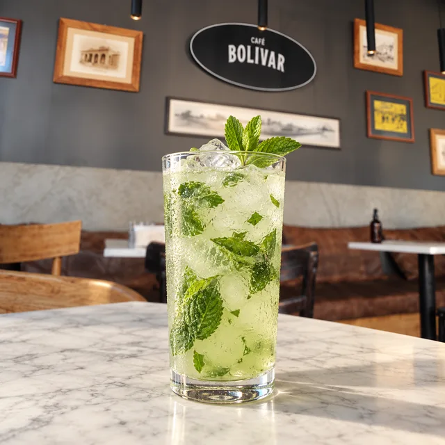 Imagen ilustrativa de Mint tonic