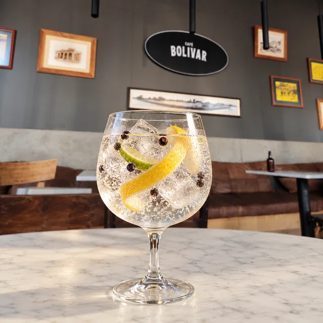 Imagen ilustrativa de Gin tonic Gordon’s